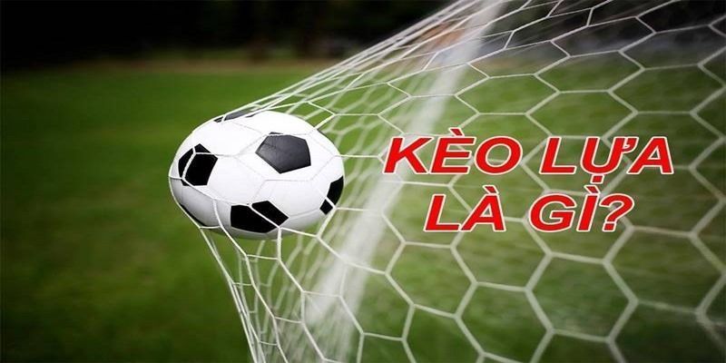 Giải Đáp Câu Hỏi Kèo Lựa Là Gì Cùng Trang Cá Cược Hi88 4 keo-lua-la-gi